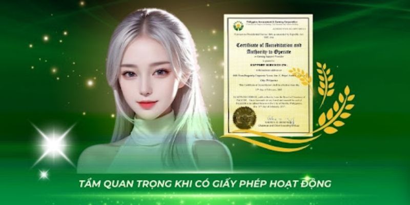 giấy phép hoạt động for 88