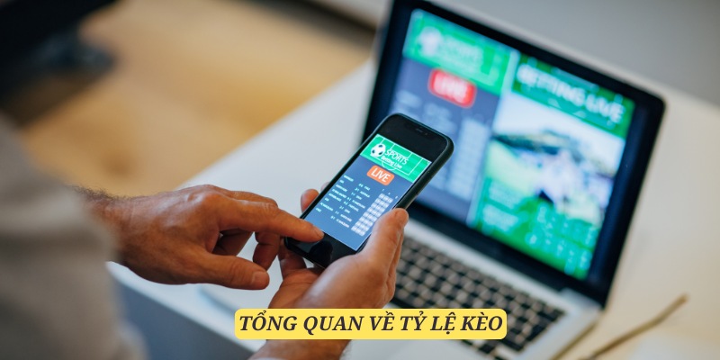 tỷ kệ kèo